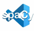 spaCy icon